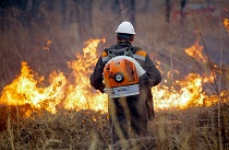 Пожароопасный сезон в Приморье начнется с 20 марта