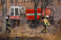 Шесть пожаров ликвидировали в Приморье за сутки