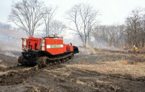 100 человек тушили природные и лесные пожары в Приморье за последние сутки