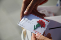 В преддверии Дня Победы Приморье присоединится к патриотической акции «Красная гвоздика»