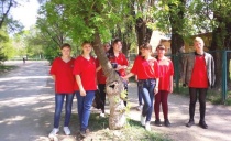 Школьники изучают деревья нашего города