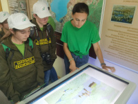 Школьники Арсеньева разрабатывают краеведческую настольную игру «Заповедное Приморье»