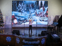 В Детской школе искусств состоялся концерт «Новогодние приключения»