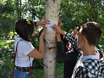 Школьники изучают деревья своего города 