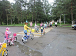 В арсеньевских детских садах идет традиционная неделя безопасности дорожного движения «Умелый пешеход» 