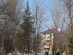 Сквер в честь 25-летия г. Арсеньева и аллея депутатов попали в список наиболее привлекательных территорий Арсеньева для благоустройства в этом году в рамках приоритетного проекта «Формирование современной городской среды»