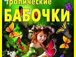 В ДК Прогресс будет проходить выставка тропических бабочек