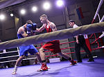 Боксеры Приморья выступят на чемпионате Европы и первенстве мира