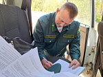Свыше 2,6 миллиона рублей штрафов заплатили нарушители правил пожарной безопасности в лесах в Приморье