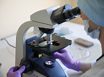 В Приморье есть тест-системы, способные определить коронавирус за 4 часа 
