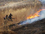 11 пожаров ликвидировали в Приморье