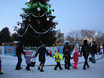 25 декабря в Арсеньеве торжественно открылась городская новогодняя елка