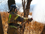 Более 20 природных и лесных пожаров ликвидировали в Приморье за три дня