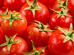 В Приморье пройдет фестиваль томатов 