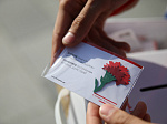 В преддверии Дня Победы Приморье присоединится к патриотической акции «Красная гвоздика»