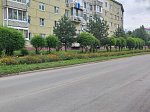 В августе силами МБУ «Специализированная служба Арсеньевского городского округа» продолжаются работы по благоустройству города