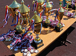 В Арсеньеве состоялась церемония награждения юных спортсменов - учащихся школ города