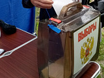 В Арсеньеве продолжается выездное голосование на придомовых территориях