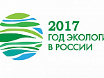 В 2017 году в библиотеках Арсеньева пройдут мероприятия, посвященные Году экологии