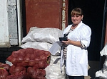 Идет заготовка картофеля и овощей на зимний период в детских садах Арсеньева 
