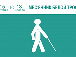 В рамках акции «Белая трость» в обществе слепых г. Арсеньева проходят встречи со специалистами 