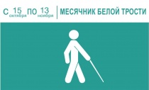 В рамках акции «Белая трость» в обществе слепых г. Арсеньева проходят встречи со специалистами 