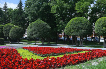 Почти 100 парков, скверов и дворов благоустроили в текущем году по нацпроекту в Приморье