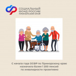 С начала года ОСФР по Приморскому краю назначило более 1 200 пенсий по инвалидности проактивно