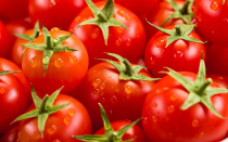 Черниговский район приглашает на событийное мероприятие — Фестиваль томатов «Бешеная ягода»
