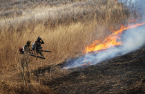 7 лесных и природных пожаров потушили в Приморье за сутки