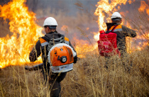 МКУ УГОЧС предупреждает о начале весеннего пожароопасного периода