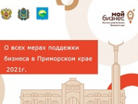 Cеминар о всех мерах поддержки предпринимателей с участием экспертов инфраструктуры поддержки бизнеса в Приморском крае