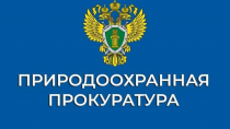 Владивостокский межрайонный природоохранный прокурор проведет личный прием граждан и предпринимателей в г. Арсеньеве