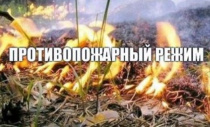 На территории Приморского края устанавливается начало пожароопасного сезона