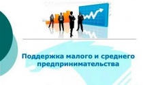 Поддержка субъектов МСП в субъектах Российской Федерации, входящих в состав Дальневосточного федерального округа