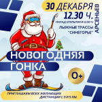 Приглашаем всех желающих на первенство Арсеньевского городского округа по лыжным гонкам «Новогодняя гонка»