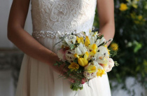 Более 350 церемоний бракосочетания проведут во время празднования Дня семьи, любви и верности в Приморье