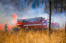 В Приморье потушили 30 лесных и природных пожаров за сутки