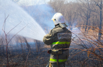 Управление по делам ГОЧС напоминает о необходимости соблюдения правил противопожарного режима в весенне-летний пожароопасный период