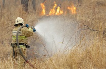 Особый противопожарный режим ввели на всей территории Приморья