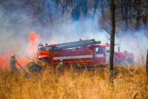 62 административных дела о нарушении пожарной безопасности возбуждено в Приморье