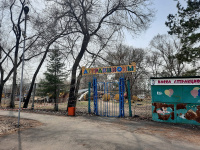 В Арсеньеве завершается демонтаж старых аттракционов в парке «Восток»