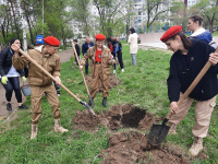 В Арсеньеве продолжается акция «Сад памяти»