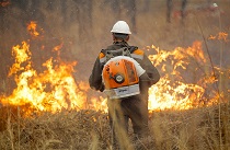 Особый противопожарный режим в ряде районов Приморья