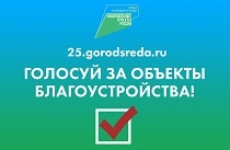 Более 5 тысяч приморцев уже проголосовали за объекты благоустройства на платформе 25.gorodsreda.ru