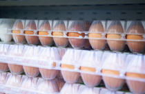 Господдержку производителям яиц увеличат в Приморье