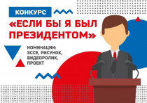 III всероссийский конкурс молодежных проектов "Если бы я был президентом" 