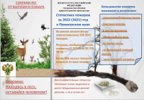 Владивостокская межрайонная  природоохранная прокуратура информирует