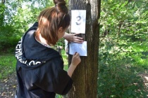 Школьники изучают деревья своего города 