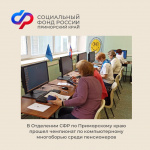 В Отделении СФР по Приморскому краю прошел чемпионат по компьютерному многоборью среди пенсионеров